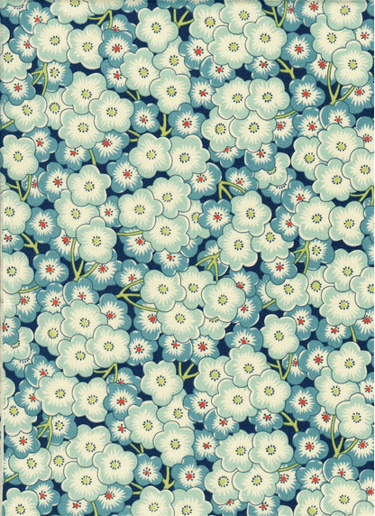 Cherry Blossom