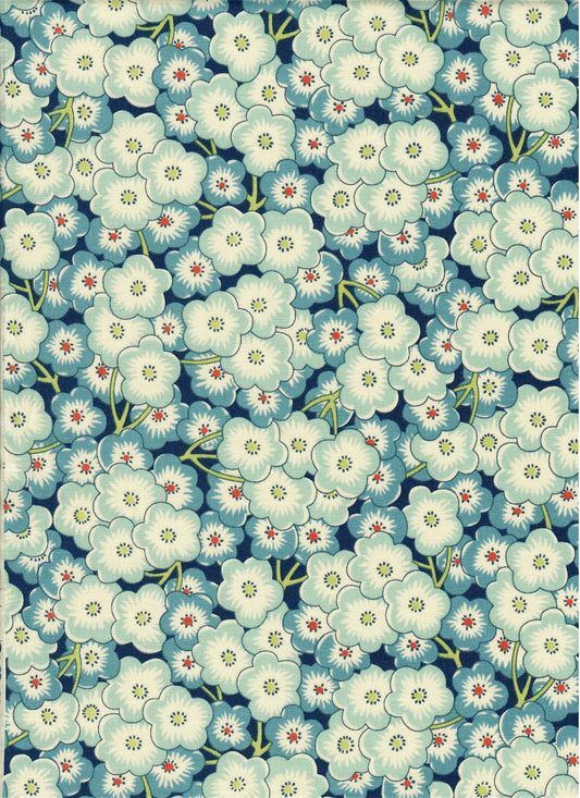 Cherry Blossom