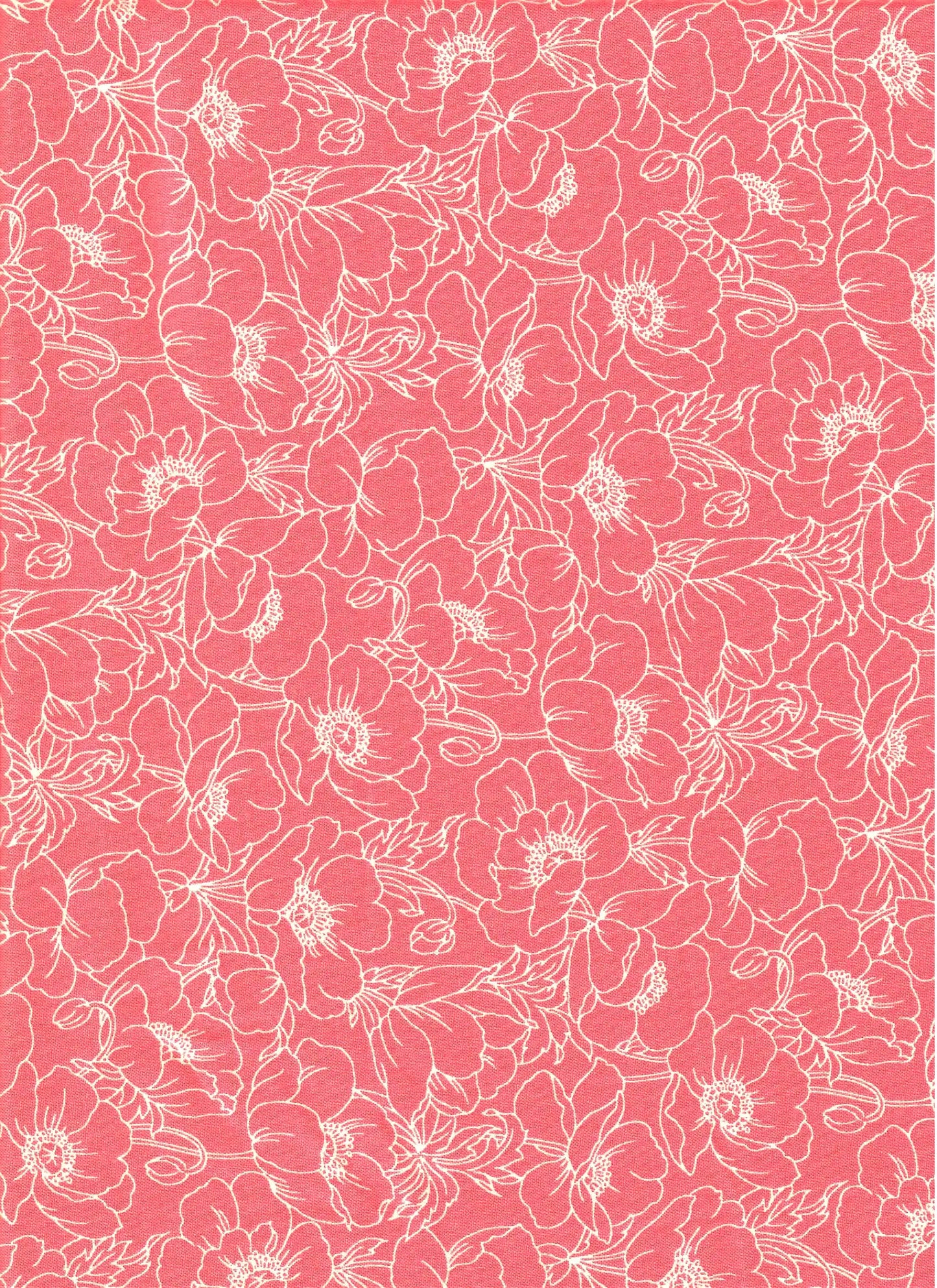 Poppy Outline Rouge (Amazing Poppies)