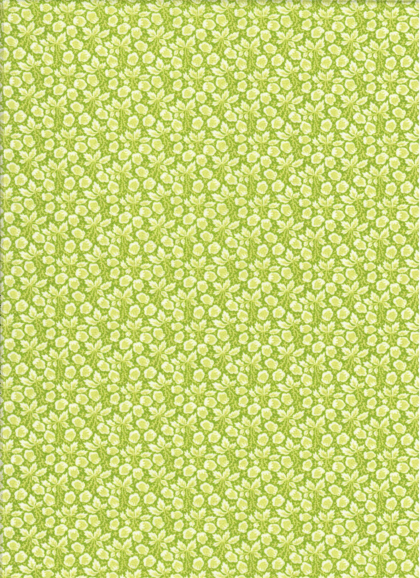 Jelly & Jam (Green Apple)