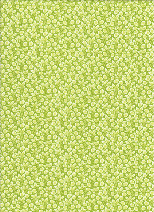 Jelly & Jam (Green Apple)